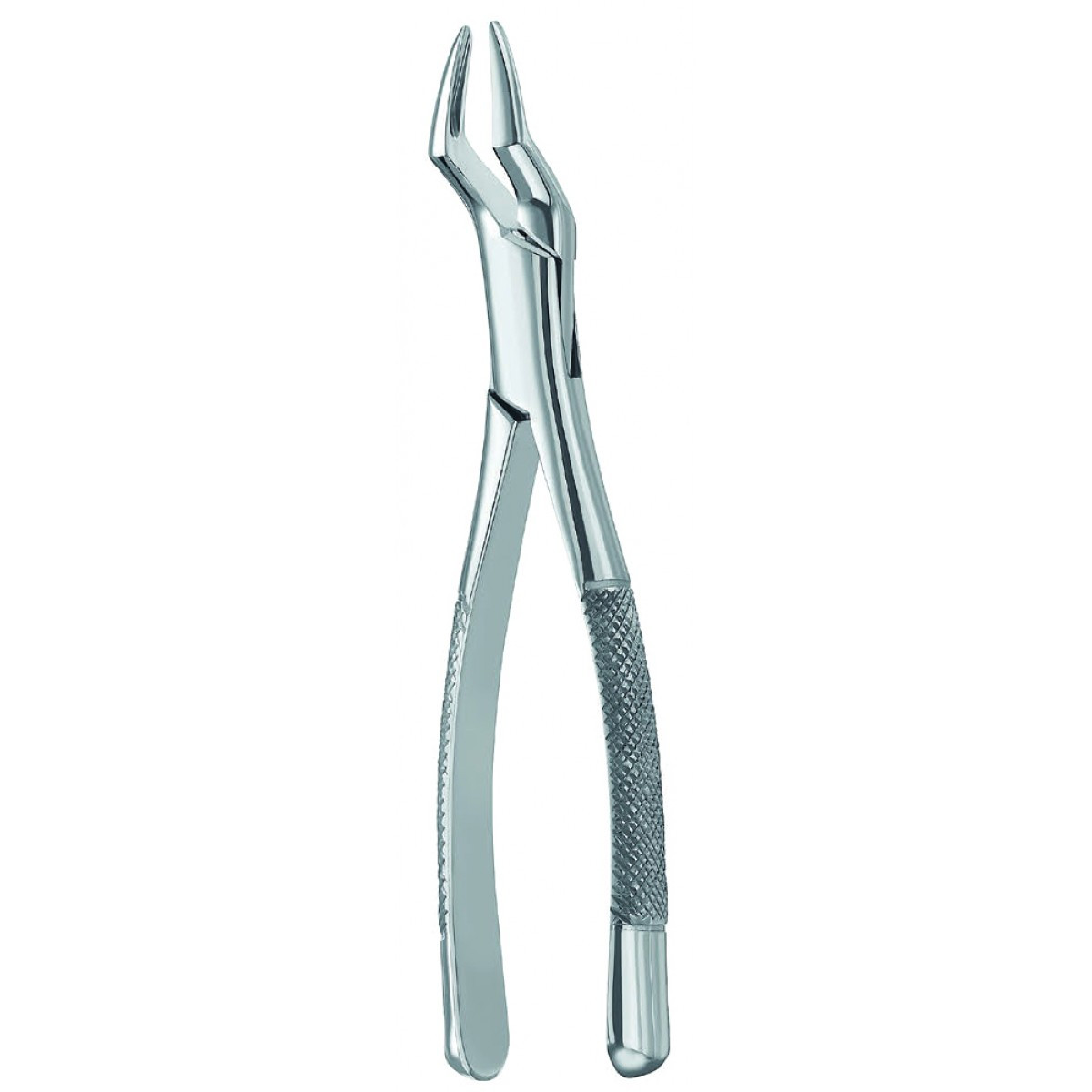 Extracting Forcep